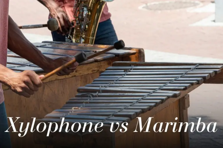 Xylophone vs Marimba vs Vibraphone
